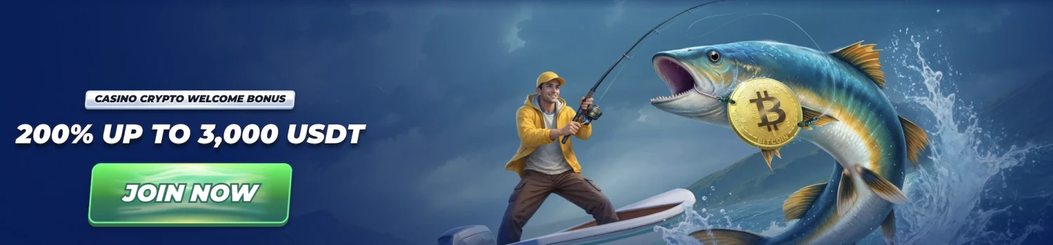 Promotional Banner